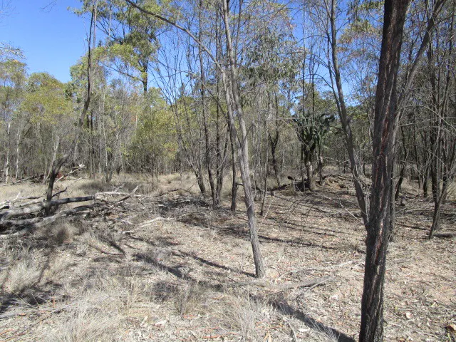 Lot 140 Lucky Road, Tara, QLD, 4421 - Image 4