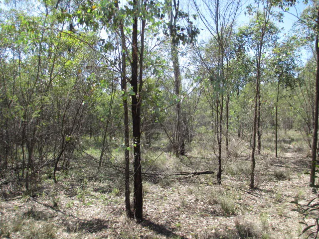 Lot 140 Lucky Road, Tara, QLD, 4421 - Image 5