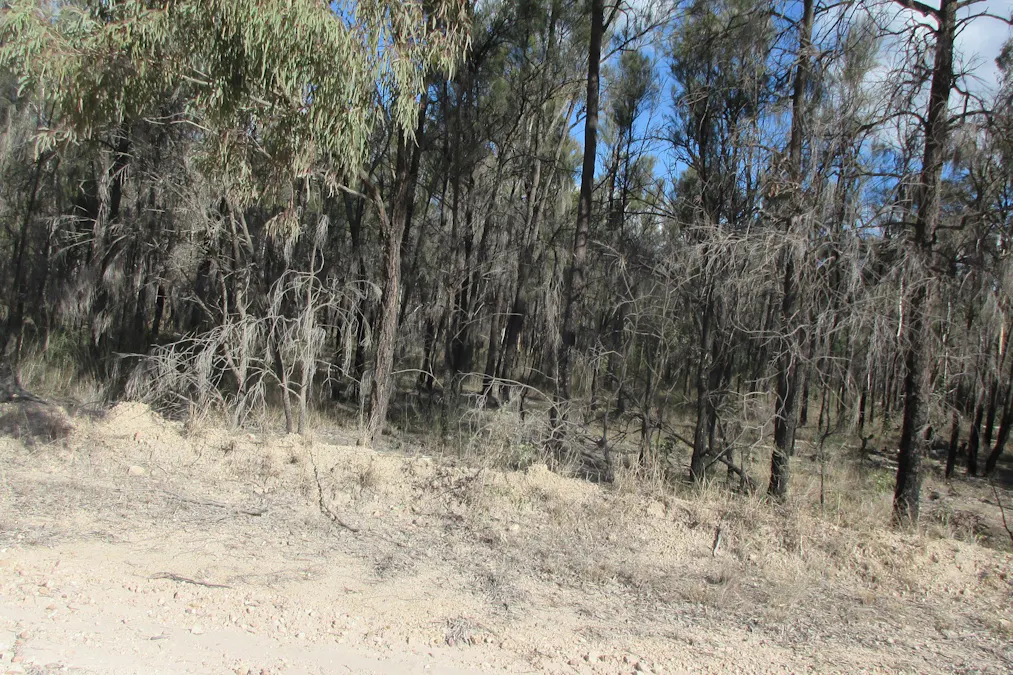 Lot 17 Charles Drive, Tara, QLD, 4421 - Image 2