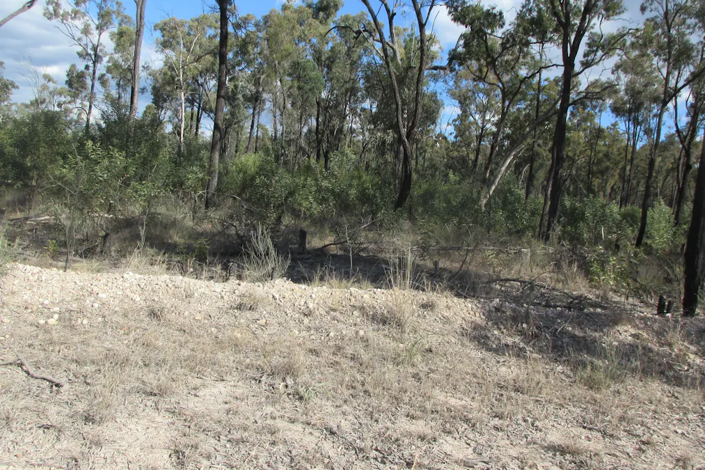 Lot 17 Charles Drive, Tara, QLD, 4421 - Image 3