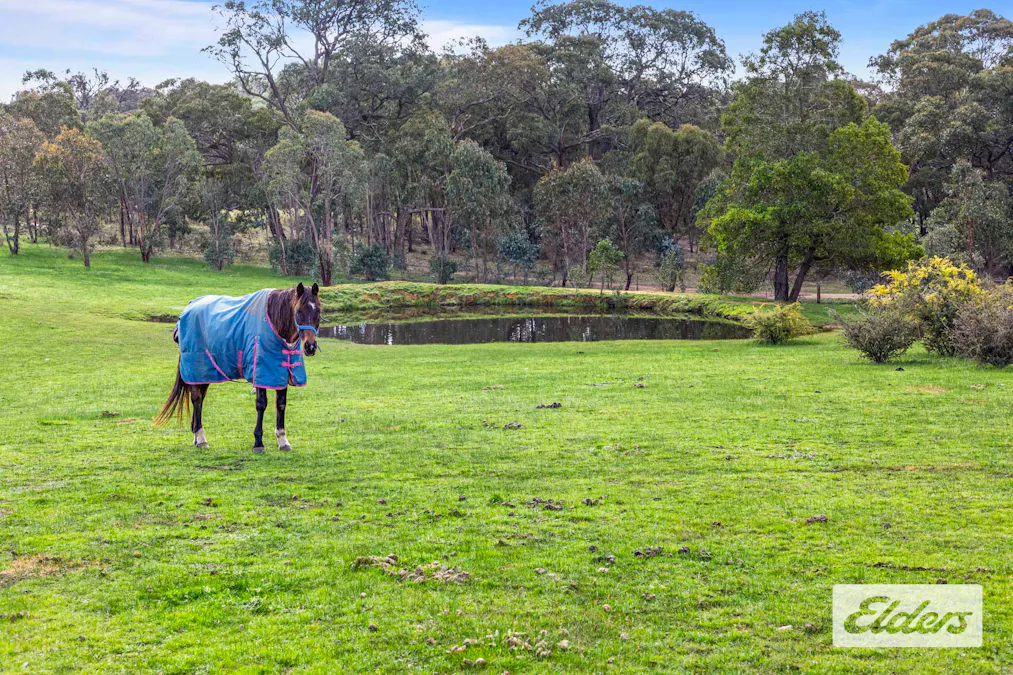 7/Gladstone Street, Lexton, VIC, 3352 - Image 21