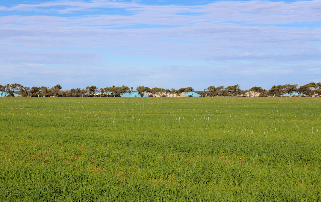 1742 Arthur Road, Moonyoonooka, WA, 6532 - Image 14