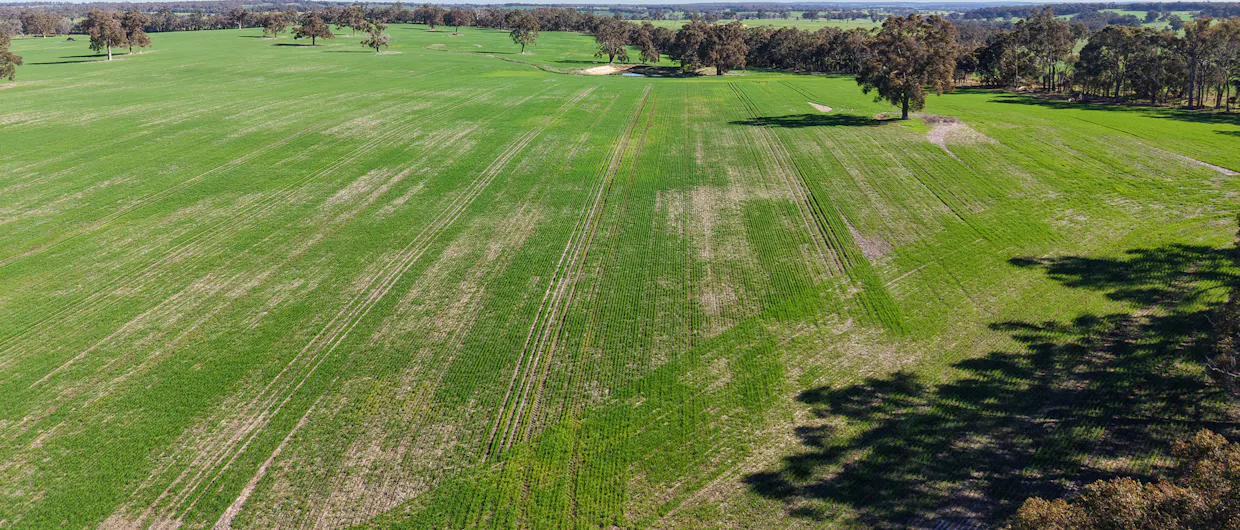 341 Quinwindup Road, Orchid Valley, WA, 6394 - Image 17