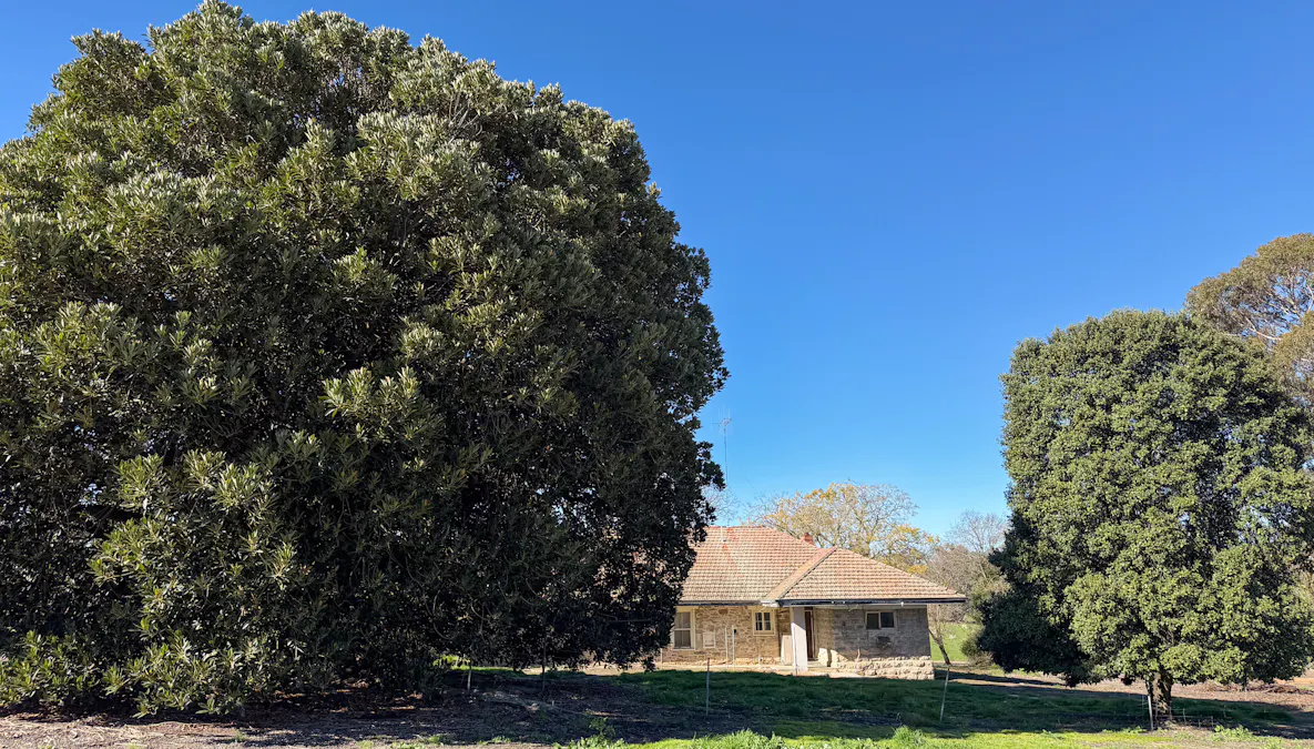 341 Quinwindup Road, Orchid Valley, WA, 6394 - Image 2