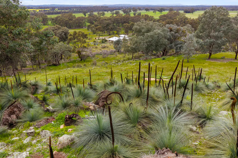 304 Blacks Lane, Upotipotpon, VIC, 3669 - Image 22