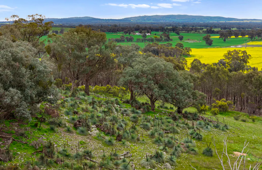 304 Blacks Lane, Upotipotpon, VIC, 3669 - Image 23