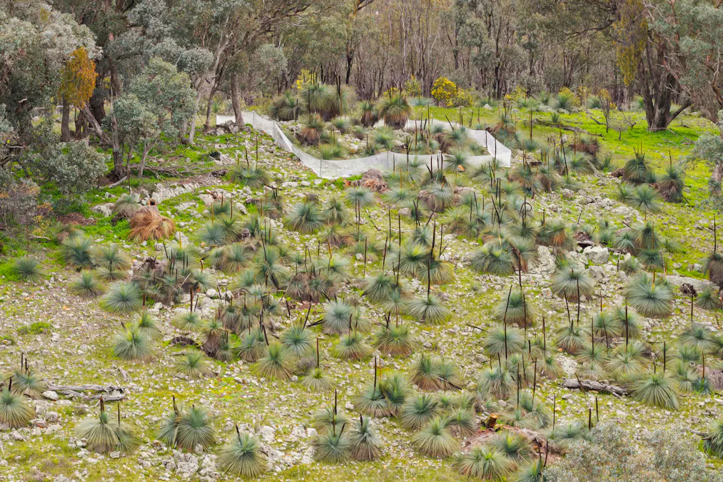304 Blacks Lane, Upotipotpon, VIC, 3669 - Image 26