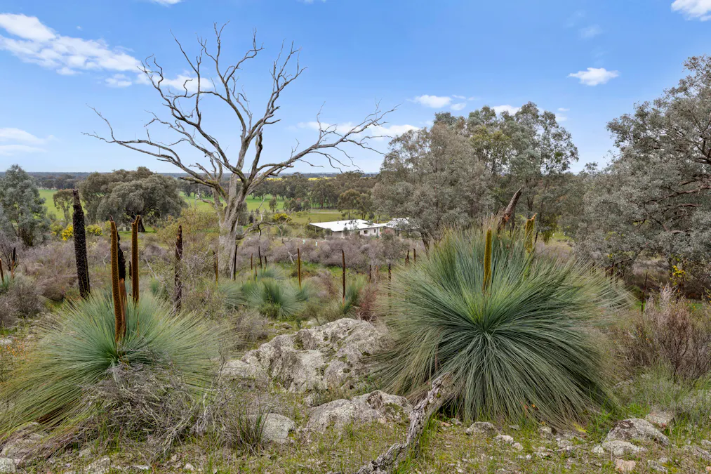 304 Blacks Lane, Upotipotpon, VIC, 3669 - Image 27
