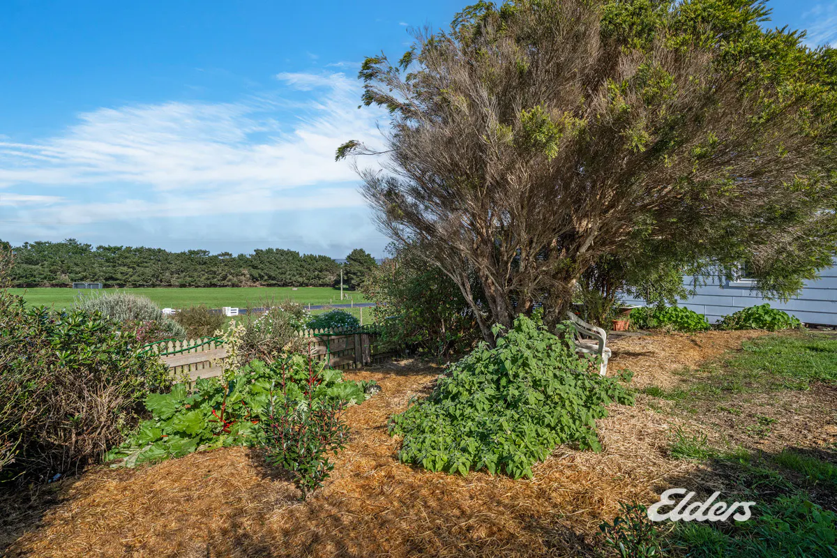 1582 Montagu Road — photo 15 of 18