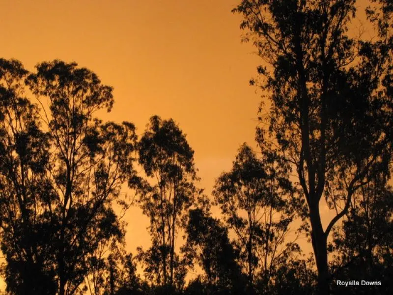 Tara, QLD, 4421 - Image 3