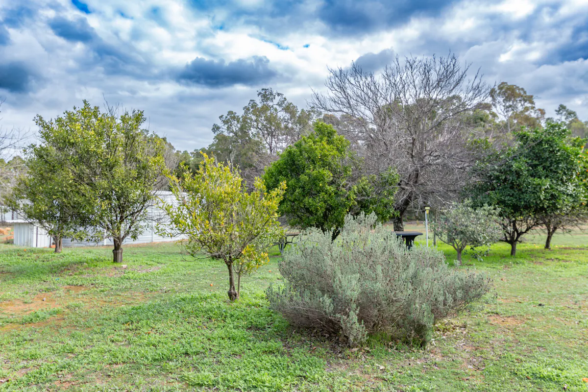 40 White Gum Ridge — photo 16 of 21