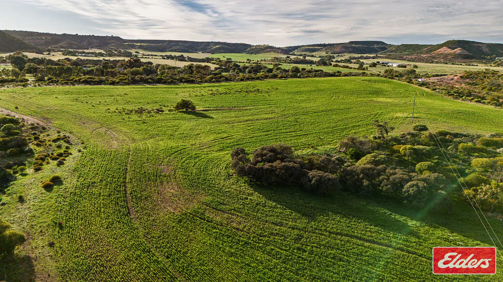 Lot 1 Starling Road, Bowes, WA, 6535 - Image 6