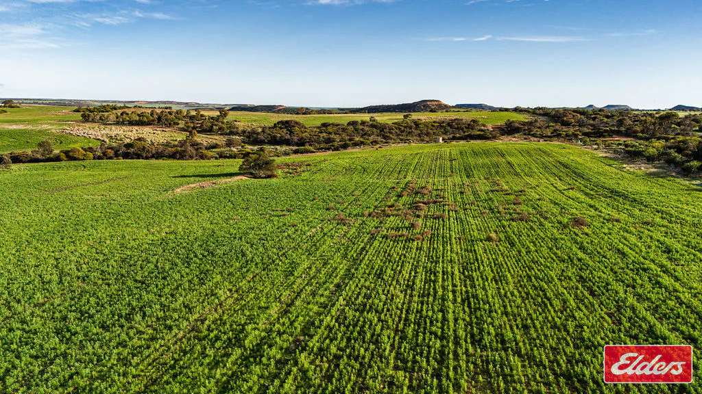 Lot 1 Starling Road, Bowes, WA, 6535 - Image 5