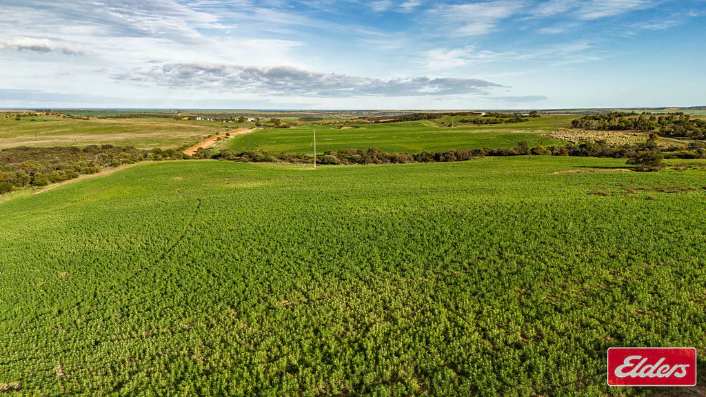 Lot 1 Starling Road, Bowes, WA, 6535 - Image 9