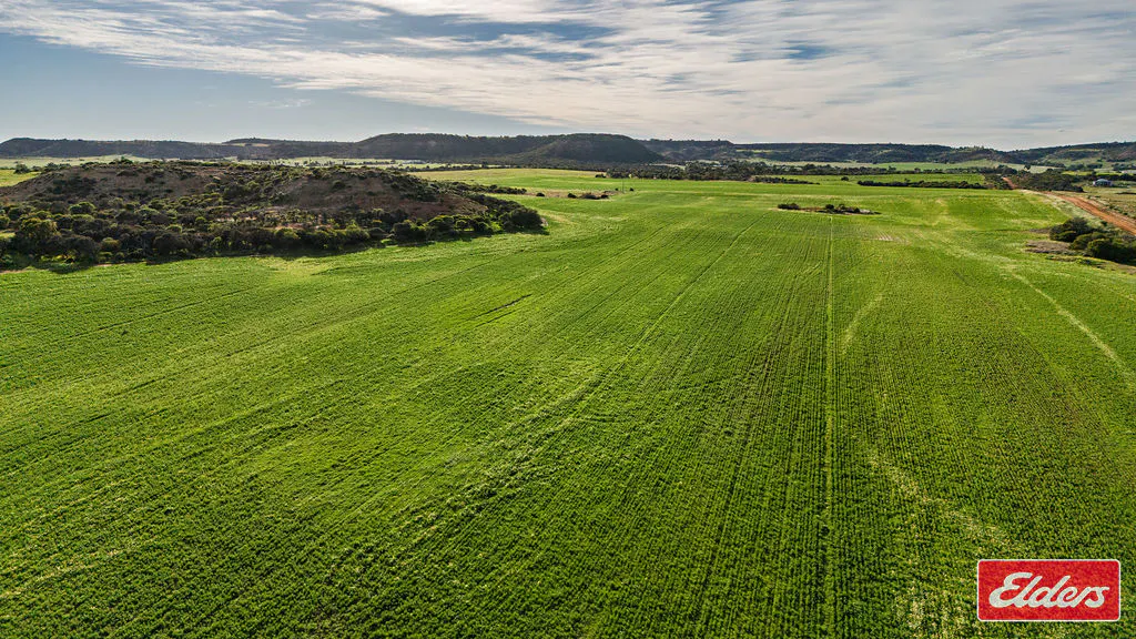 Lot 55 Starling Road, Bowes, WA, 6535 - Image 4