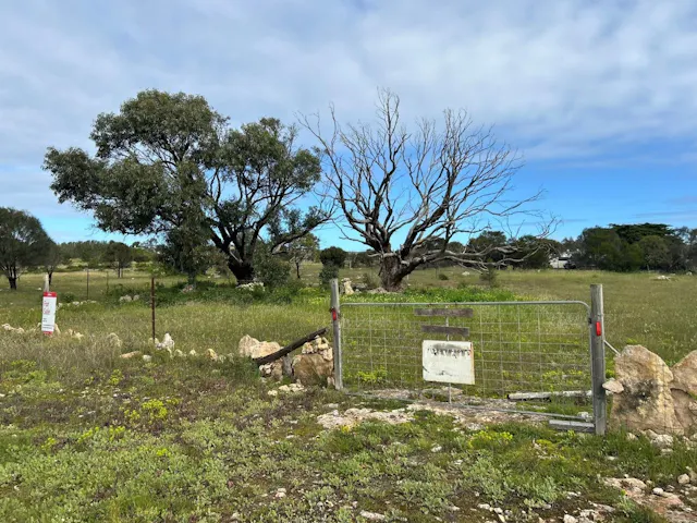 Second Street — photo from Elders Real Estate Wudinna
