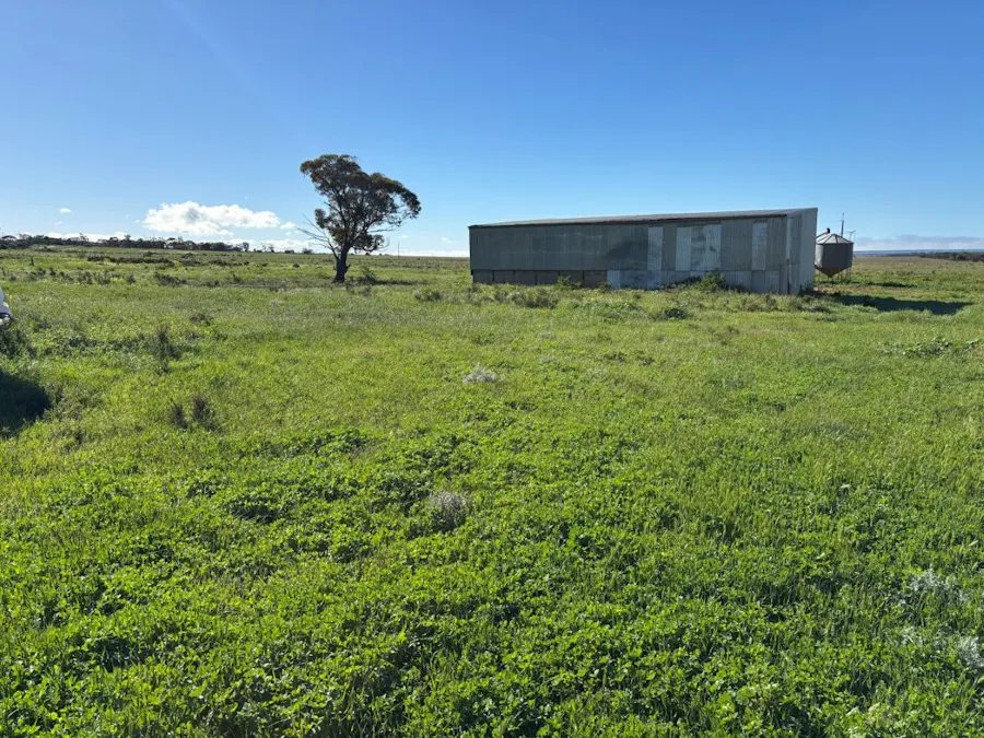 Lot 16 Wildman Road, Cowell, SA, 5602 - Image 10