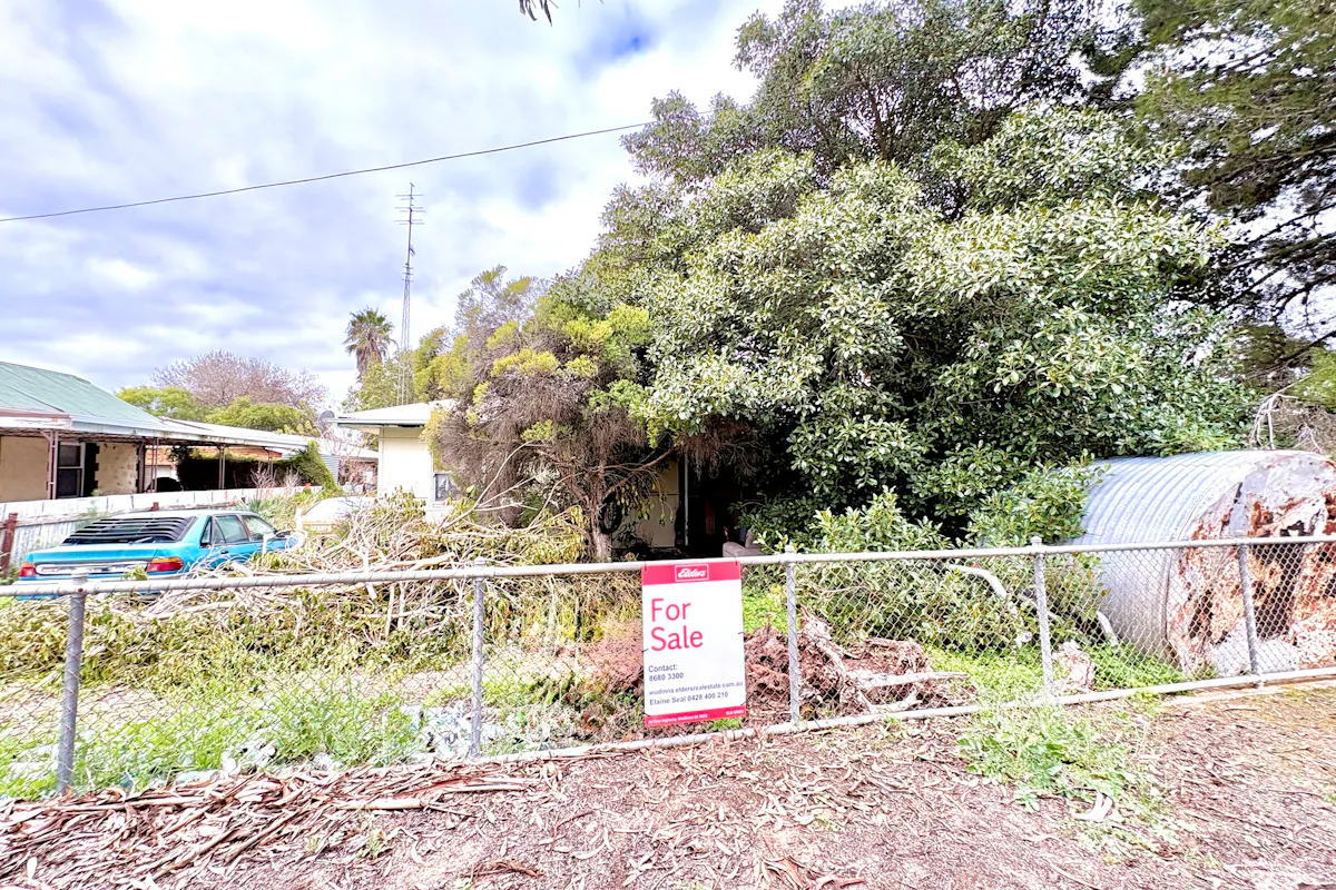 3 Dearman Street — photo 2 of 5