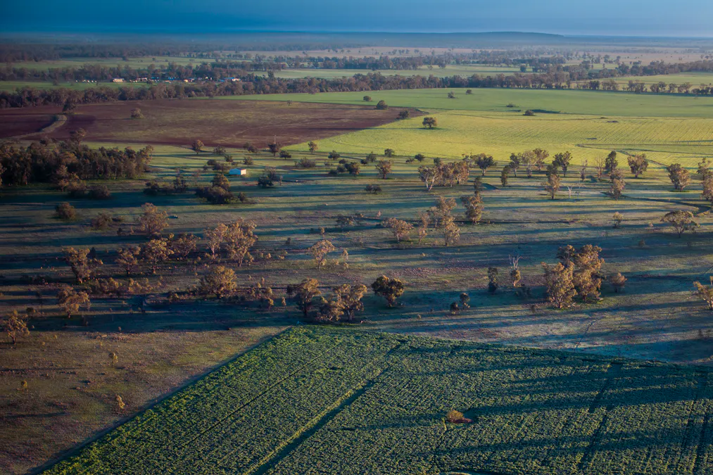 3166 Back Trundle Road, Cooks Myalls, NSW, 2870 - Image 13