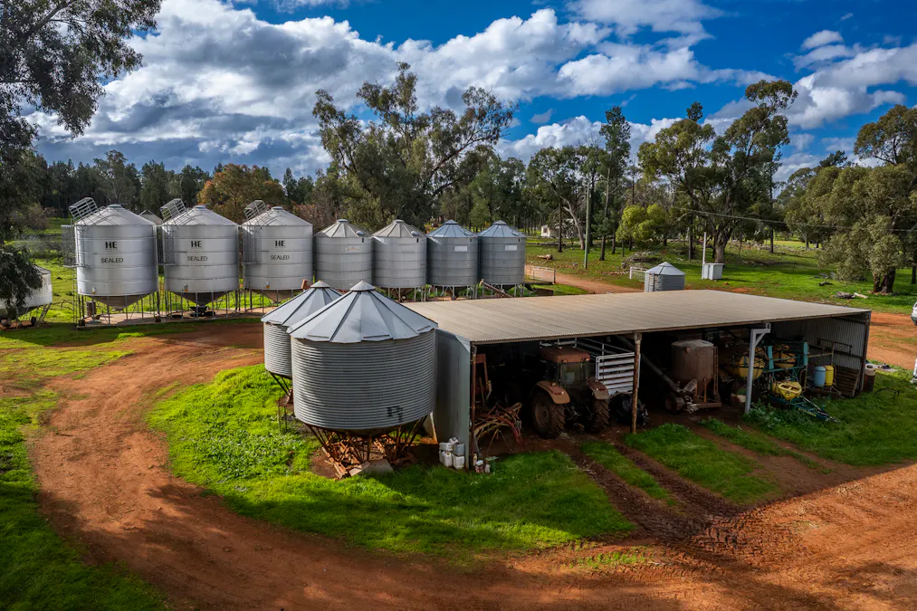 3166 Back Trundle Road, Cooks Myalls, NSW, 2870 - Image 9