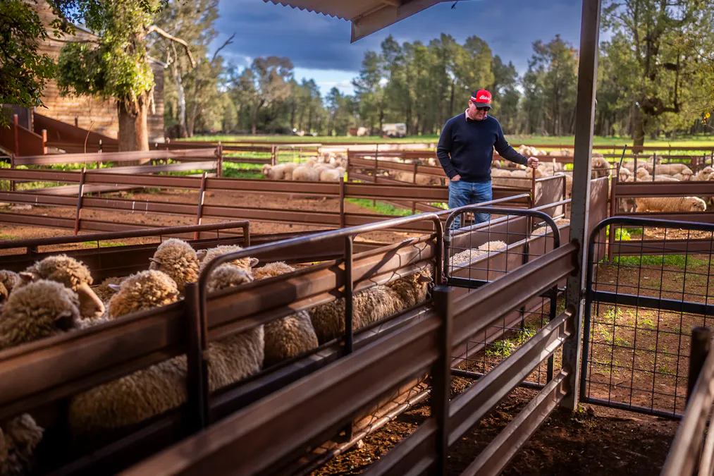 3166 Back Trundle Road, Cooks Myalls, NSW, 2870 - Image 14