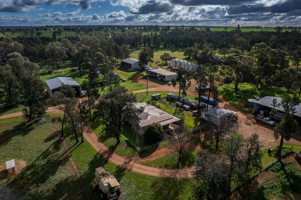 3166 Back Trundle Road, Cooks Myalls, NSW, 2870 - Image 17