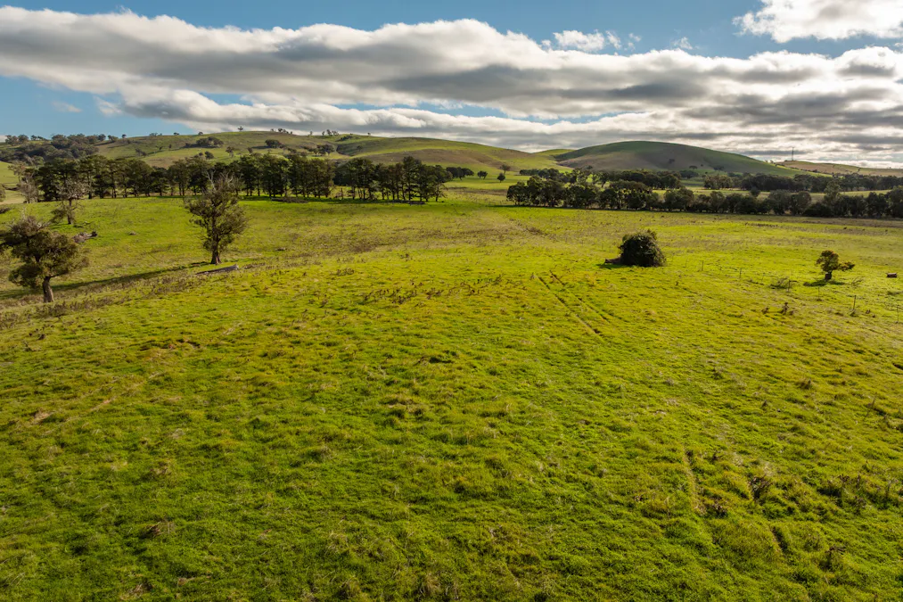 380 Graces Flat Road, Bowning, NSW, 2582 - Image 6