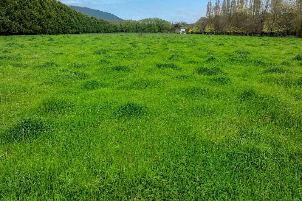 426 Back Eildon Road, Thornton, VIC, 3712 - Image 25
