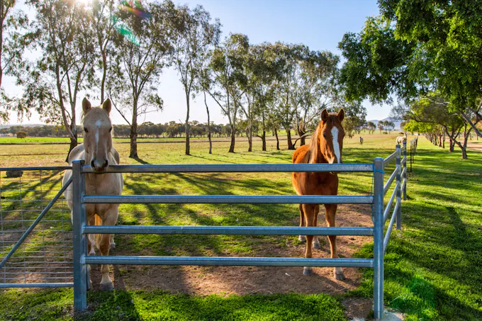 Weemala, 316 Newmans Lane, Tamworth, NSW, 2340