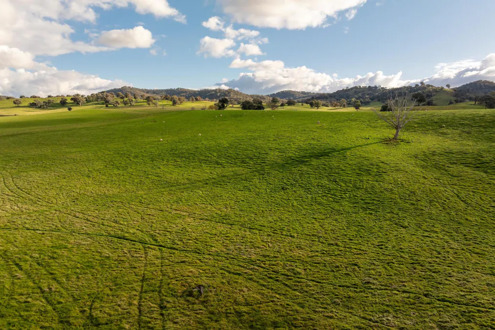 1307 Westbrook Road, Oberne Creek, NSW, 2650 - Image 11