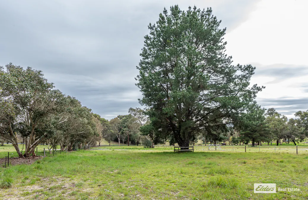 237 Wild Dog Valley Road, Naracoorte, SA, 5271 - Image 15