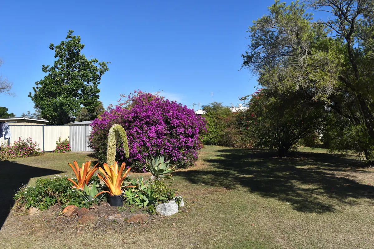 39 Francis Street — photo 18 of 19