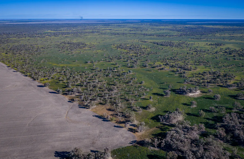 1744 Cumberdoon Way, Walgett, NSW, 2832 - Image 5