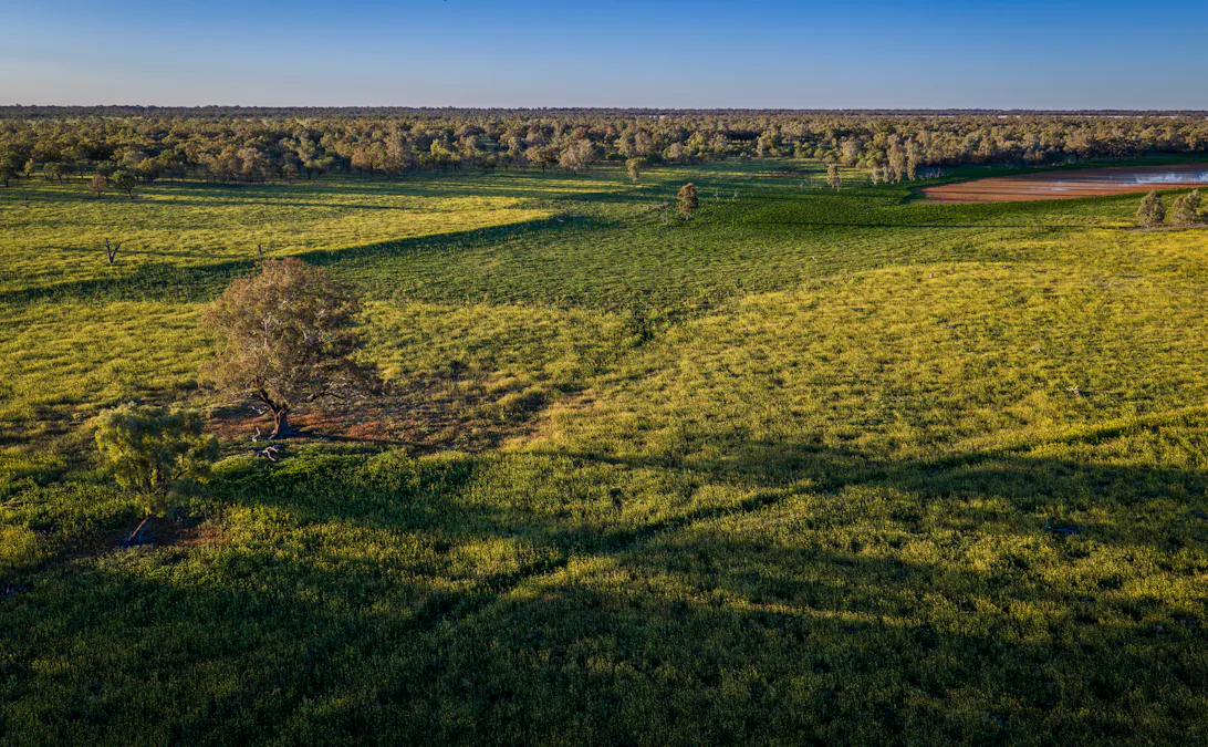 1744 Cumberdoon Way, Walgett, NSW, 2832 - Image 16