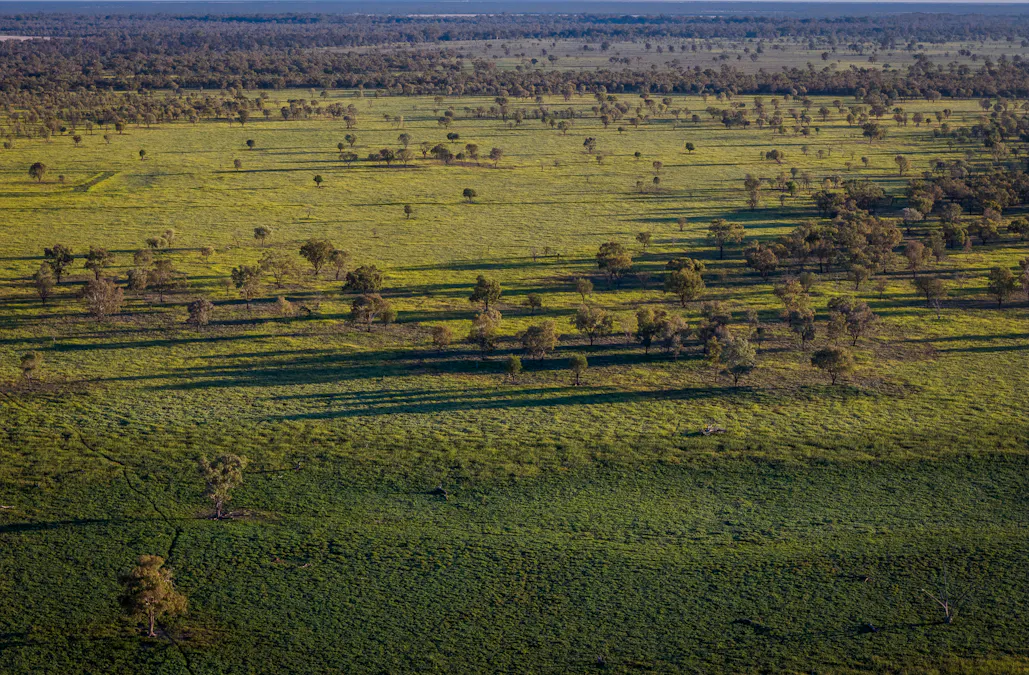 1744 Cumberdoon Way, Walgett, NSW, 2832 - Image 25