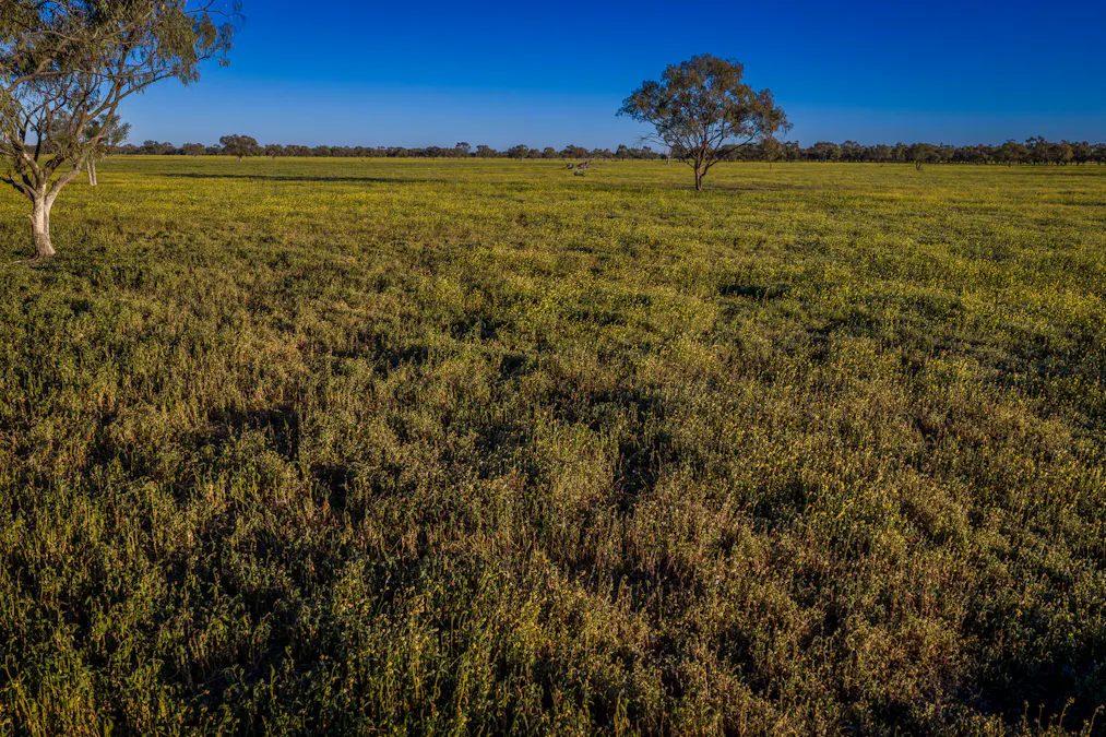 1744 Cumberdoon Way, Walgett, NSW, 2832 - Image 26