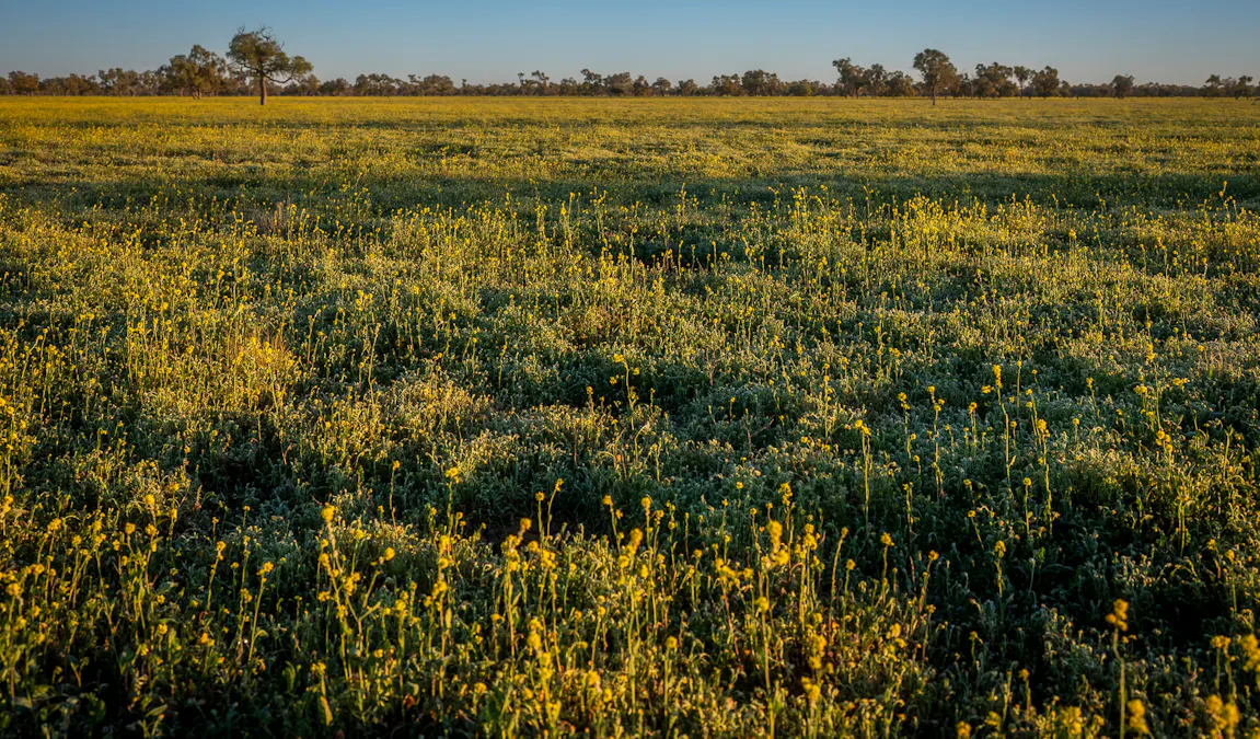 1744 Cumberdoon Way, Walgett, NSW, 2832 - Image 28