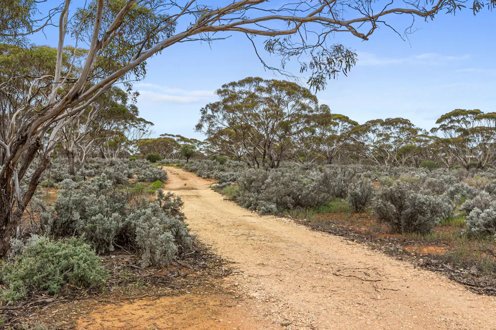 360 Winter Road, Bower, SA, 5374 - Image 12