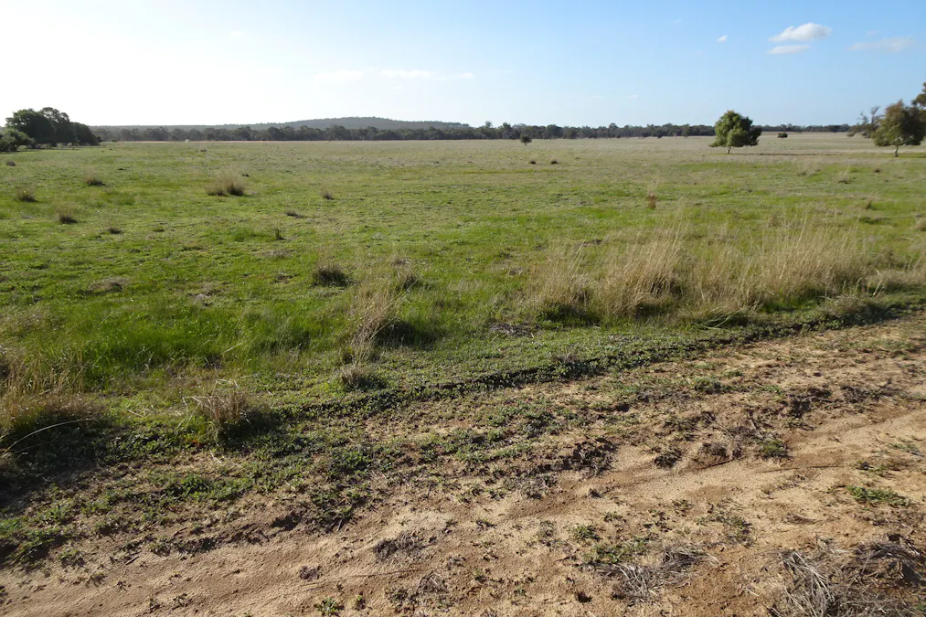 Lot 702 Dale Kokeby Road, Kokeby, WA, 6304 - Image 17