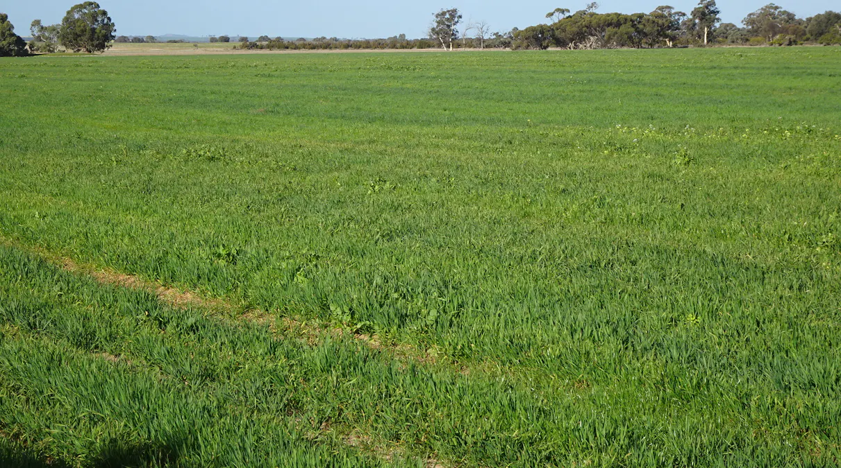 Lot 702 Dale Kokeby Road, Kokeby, WA, 6304 - Image 4