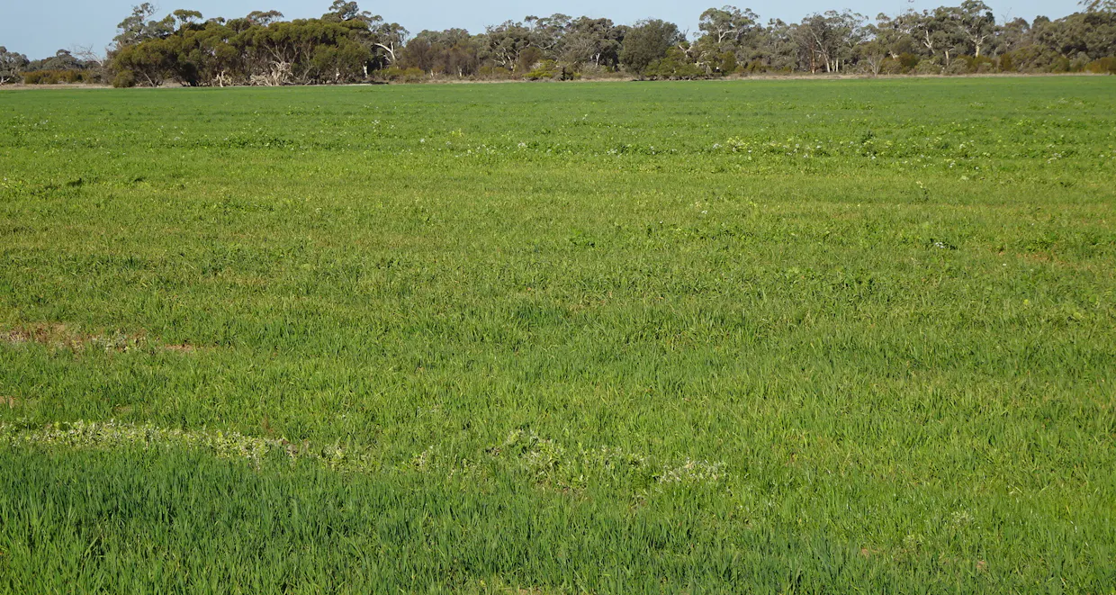 Lot 702 Dale Kokeby Road, Kokeby, WA, 6304 - Image 7