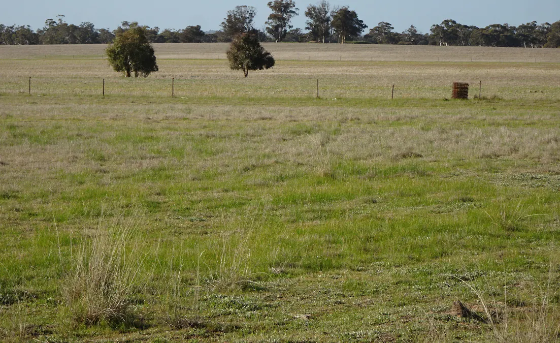 Lot 702 Dale Kokeby Road, Kokeby, WA, 6304 - Image 10
