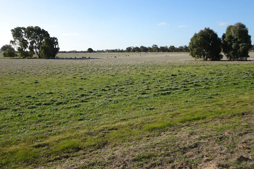 Lot 702 Dale Kokeby Road, Kokeby, WA, 6304 - Image 13