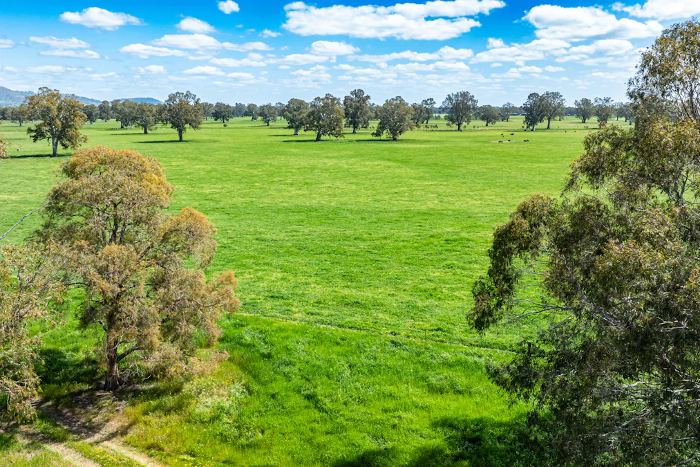 3083-3175 Riverina Highway, Albury, NSW, 2640 - Image 9