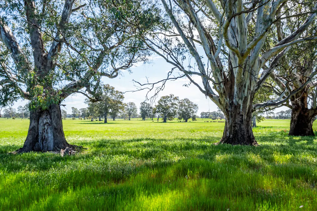 3083-3175 Riverina Highway, Albury, NSW, 2640 - Image 7