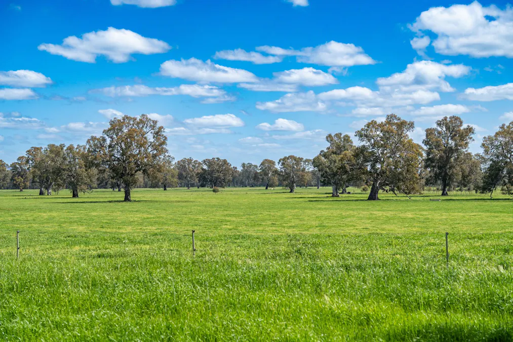 3083-3175 Riverina Highway, Albury, NSW, 2640 - Image 15