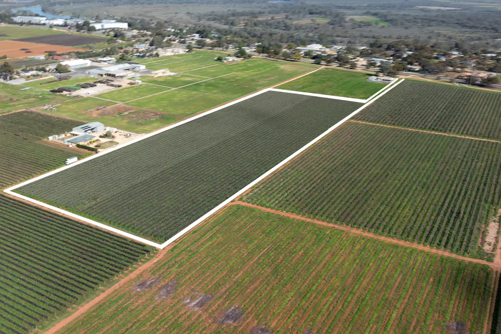 94/Bookpurnong Road, Loxton, SA, 5333 - Image 5