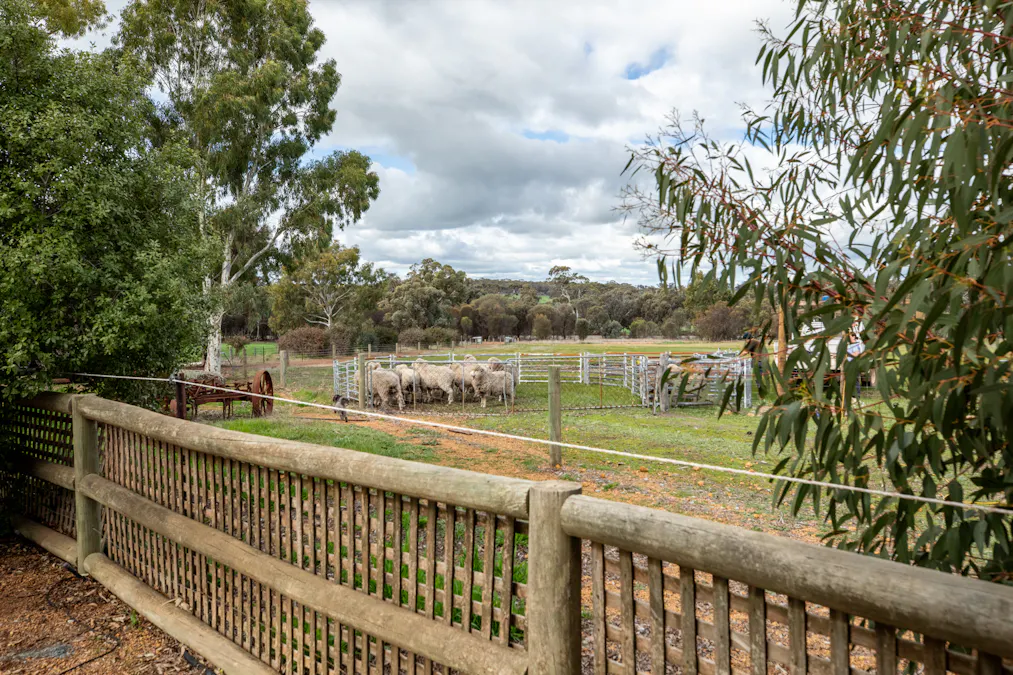 131 Hillside Road, Minigin, WA, 6312 - Image 26