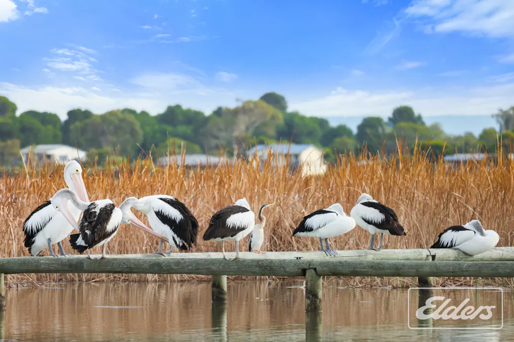 34 Alexandrina Drive, Clayton Bay, SA, 5256 - Image 28