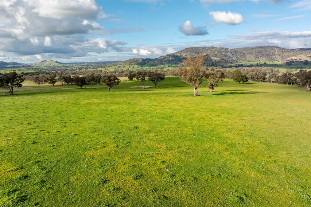 7740 Hume Highway, Kyeamba, NSW, 2650 - Image 3